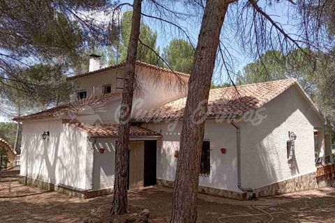 Landejendom i Ayora, Valencia, Ayora - € 186.000 | Ref: SF0459 - foto 3